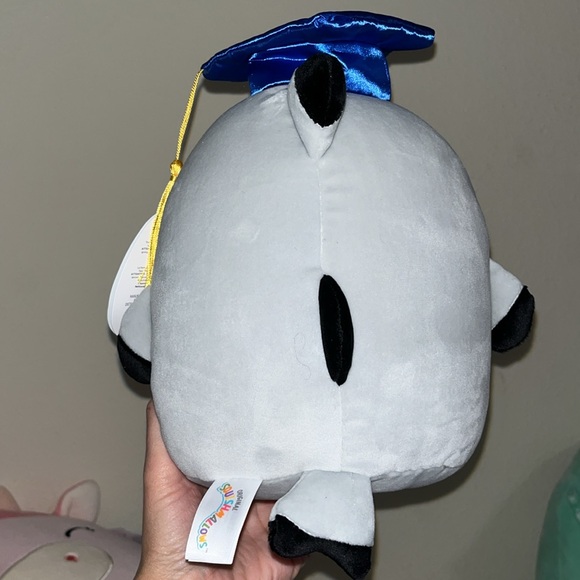 🦈Squishmallows Gordon Graduation Shark 8” NWT HTF Gordon with hat & glasses! - Picture 4 of 4